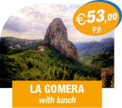 la gomera bus offer